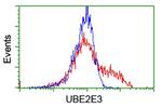 UBE2E3 Antibody in Flow Cytometry (Flow)