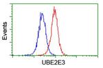 UBE2E3 Antibody in Flow Cytometry (Flow)