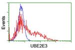 UBE2E3 Antibody in Flow Cytometry (Flow)