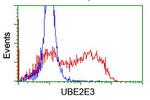 UBE2E3 Antibody in Flow Cytometry (Flow)