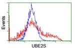 UBE2S Antibody in Flow Cytometry (Flow)