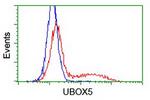 UBOX5 Antibody in Flow Cytometry (Flow)