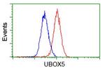 UBOX5 Antibody in Flow Cytometry (Flow)