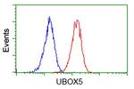 UBOX5 Antibody in Flow Cytometry (Flow)