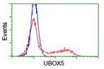 UBOX5 Antibody in Flow Cytometry (Flow)
