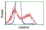 UBXN10 Antibody in Flow Cytometry (Flow)