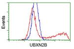 UBXN2B Antibody in Flow Cytometry (Flow)