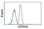 UBXN2B Antibody in Flow Cytometry (Flow)