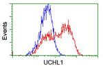 UCHL1 Antibody in Flow Cytometry (Flow)