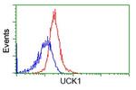 UCK1 Antibody in Flow Cytometry (Flow)