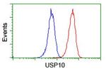 USP10 Antibody in Flow Cytometry (Flow)