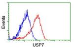 USP7 Antibody in Flow Cytometry (Flow)