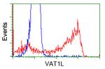 VAT1L Antibody in Flow Cytometry (Flow)