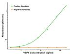 VBP1 Antibody in ELISA (ELISA)