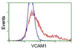 VCAM1 Antibody in Flow Cytometry (Flow)