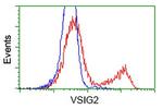VSIG2 Antibody in Flow Cytometry (Flow)