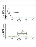 Vitronectin Antibody in Flow Cytometry (Flow)