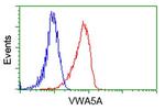 VWA5A Antibody in Flow Cytometry (Flow)