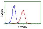 VWA5A Antibody in Flow Cytometry (Flow)