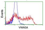 VWA5A Antibody in Flow Cytometry (Flow)