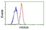 VWA5A Antibody in Flow Cytometry (Flow)