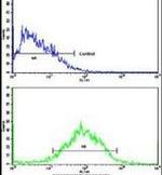WBP2 Antibody in Flow Cytometry (Flow)