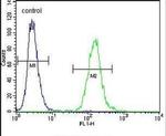 WDR21C Antibody in Flow Cytometry (Flow)