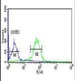 WDR37 Antibody in Flow Cytometry (Flow)