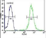 WDR48 Antibody in Flow Cytometry (Flow)