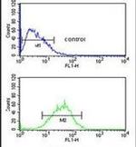 WDR82 Antibody in Flow Cytometry (Flow)