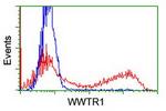 WWTR1 Antibody in Flow Cytometry (Flow)
