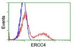 XPF Antibody in Flow Cytometry (Flow)
