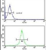 XPOT Antibody in Flow Cytometry (Flow)