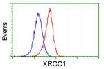 XRCC1 Antibody in Flow Cytometry (Flow)