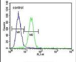 XRCC1 Antibody in Flow Cytometry (Flow)