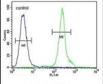 ZBBX Antibody in Flow Cytometry (Flow)