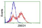 ZBED1 Antibody in Flow Cytometry (Flow)