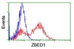 ZBED1 Antibody in Flow Cytometry (Flow)