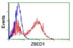 ZBED1 Antibody in Flow Cytometry (Flow)