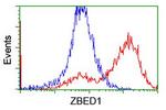 ZBED1 Antibody in Flow Cytometry (Flow)