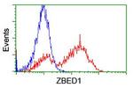 ZBED1 Antibody in Flow Cytometry (Flow)