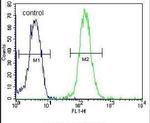 ZBTB10 Antibody in Flow Cytometry (Flow)