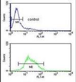 ZBTB2 Antibody in Flow Cytometry (Flow)
