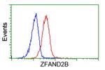 ZFAND2B Antibody in Flow Cytometry (Flow)