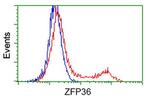 ZFP36 Antibody in Flow Cytometry (Flow)