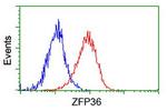 ZFP36 Antibody in Flow Cytometry (Flow)