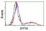 ZFP36 Antibody in Flow Cytometry (Flow)