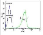 ZIC3 Antibody in Flow Cytometry (Flow)