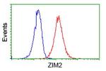 ZIM2 Antibody in Flow Cytometry (Flow)
