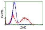 ZIM2 Antibody in Flow Cytometry (Flow)